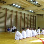 Egzamin 2010 (Zemska gr. młodsza)