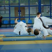 Pokaz 2012 (Zemska, grupa starsza)